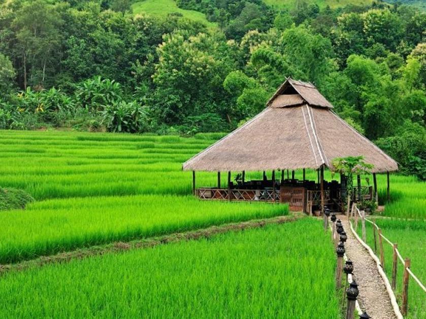 Kamu Lodge Pak Ou Ngoại thất bức ảnh