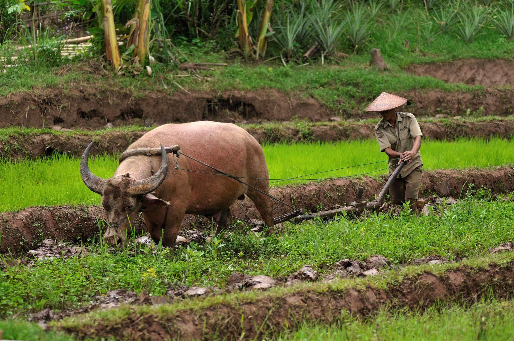 Kamu Lodge Pak Ou Ngoại thất bức ảnh